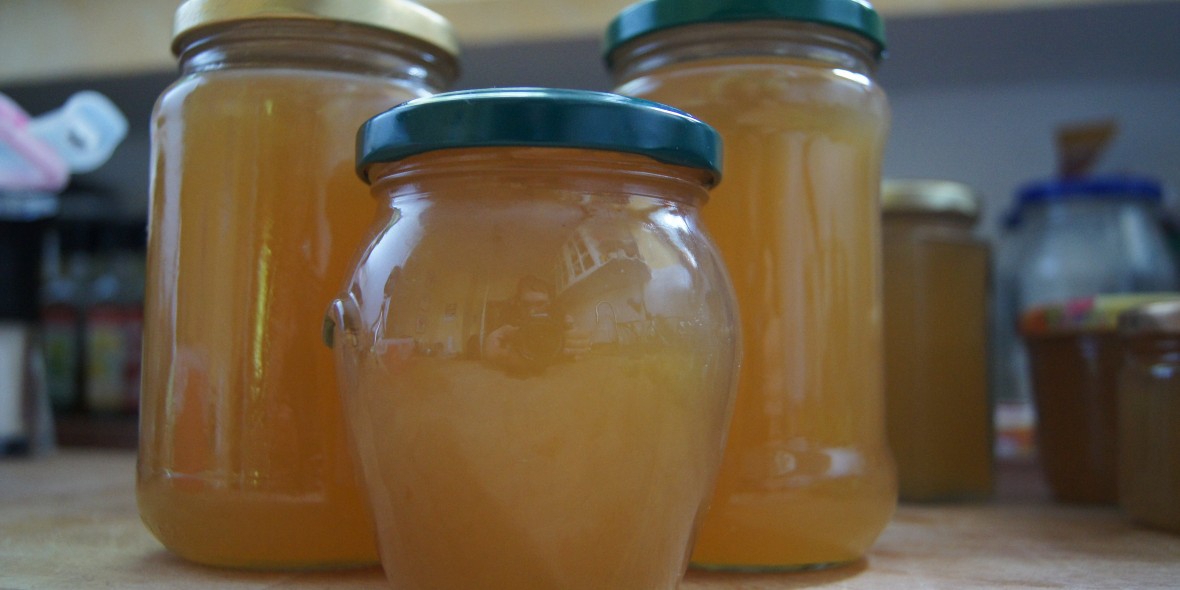 Apfel-Holunderblüten Gelee - Natürlich Lecker